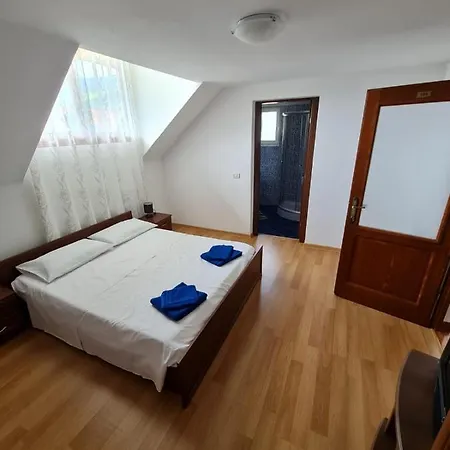 Guest house Luxandra Borsa (Maramures)